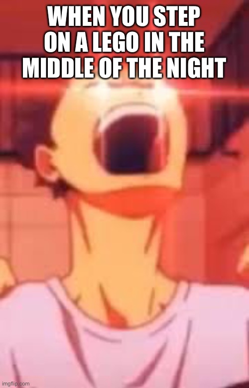 Internal screaming | WHEN YOU STEP ON A LEGO IN THE MIDDLE OF THE NIGHT | image tagged in haikyuu,anime,memes | made w/ Imgflip meme maker