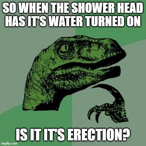 Philosoraptor Meme | SO WHEN THE SHOWER HEAD HAS IT'S WATER TURNED ON IS IT IT'S ERECTION? | image tagged in memes,philosoraptor | made w/ Imgflip meme maker