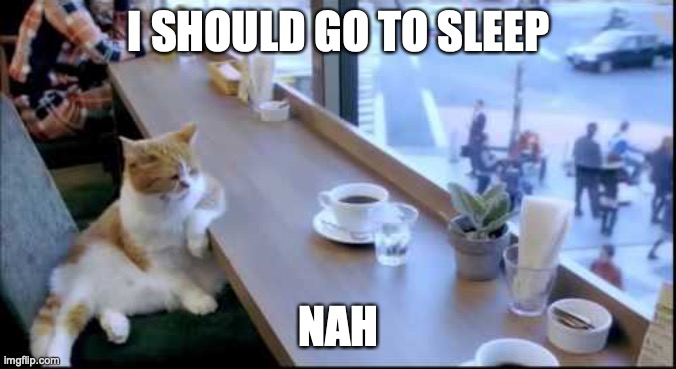 I should rest | I SHOULD GO TO SLEEP; NAH | image tagged in cats,contemplating,no sleep,sleep | made w/ Imgflip meme maker