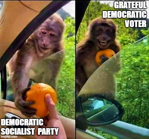 grateful monkey | GRATEFUL  DEMOCRATIC
VOTER; DEMOCRATIC  

SOCIALIST  PARTY | image tagged in political humor,laughing monkey,democratic socialism,democratic party,communist socialist,democrats | made w/ Imgflip meme maker