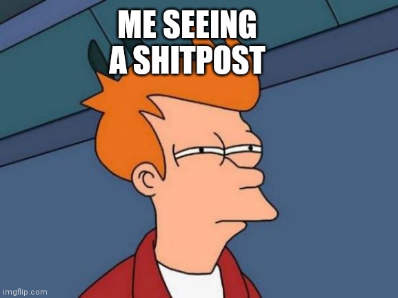 Futurama Fry | ME SEEING A SHITPOST | image tagged in memes,futurama fry | made w/ Imgflip meme maker