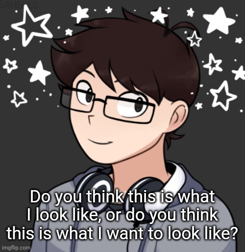 Random question for yall | Do you think this is what I look like, or do you think this is what I want to look like? | image tagged in idk | made w/ Imgflip meme maker