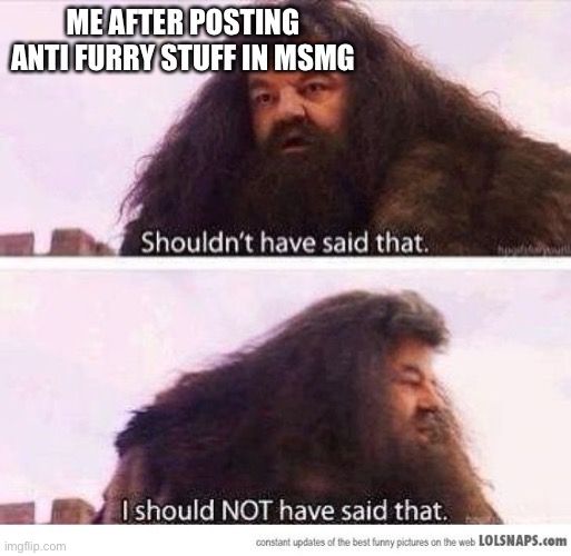 AAAAAAA | ME AFTER POSTING ANTI FURRY STUFF IN MSMG | image tagged in i shouldn't have said that | made w/ Imgflip meme maker