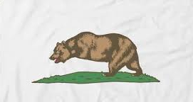 Bear without arms Blank Meme Template
