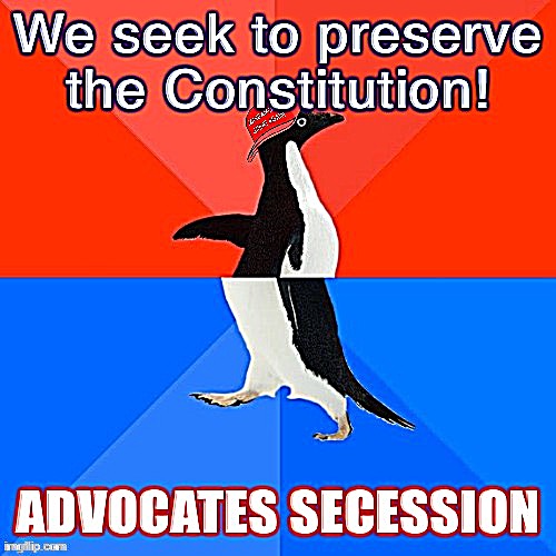 Anyone see secession authorized in the Constitution? I don’t | image tagged in conservative logic,constitution | made w/ Imgflip meme maker