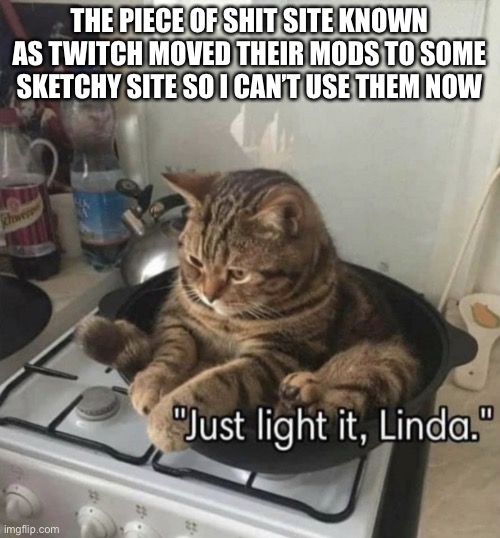 please kill me | THE PIECE OF SHIT SITE KNOWN AS TWITCH MOVED THEIR MODS TO SOME SKETCHY SITE SO I CAN’T USE THEM NOW | image tagged in the title is obviously a joke | made w/ Imgflip meme maker