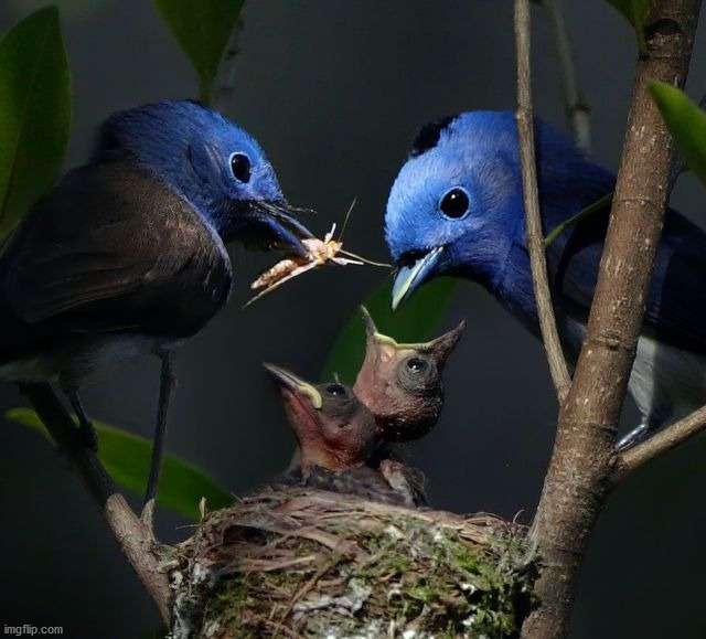 image tagged in awesome | made w/ Imgflip meme maker