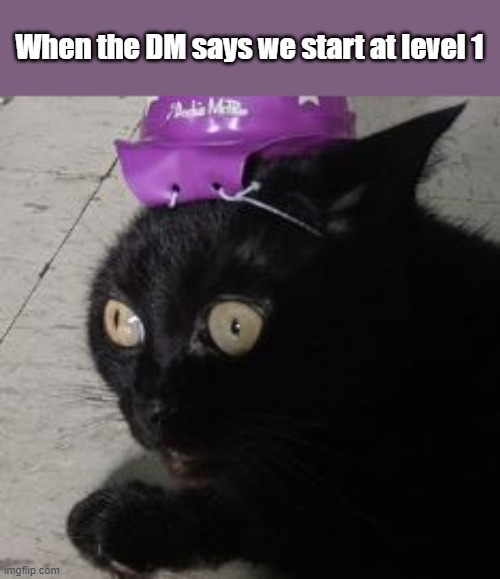 Traumatized Wizard Cat 2 | When the DM says we start at level 1 | image tagged in traumatized wizard cat 2 | made w/ Imgflip meme maker