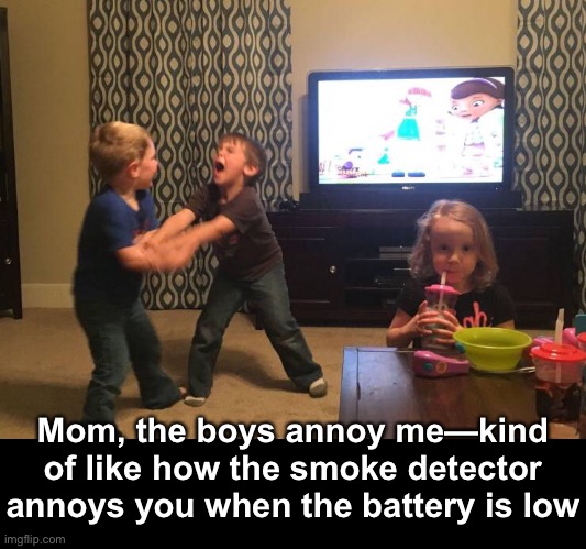 She Calls ‘Em Like She Sees ‘Em | Mom, the boys annoy me—kind of like how the smoke detector annoys you when the battery is low | image tagged in funny memes,funny kids,fighting | made w/ Imgflip meme maker