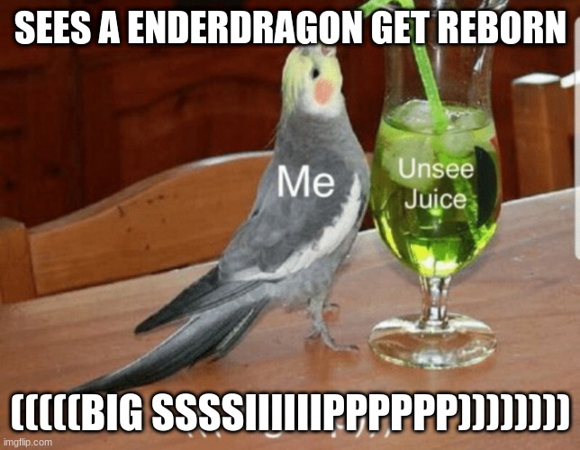Unsee juice | SEES A ENDERDRAGON GET REBORN; (((((BIG SSSSIIIIIIPPPPPP)))))))) | image tagged in unsee juice | made w/ Imgflip meme maker