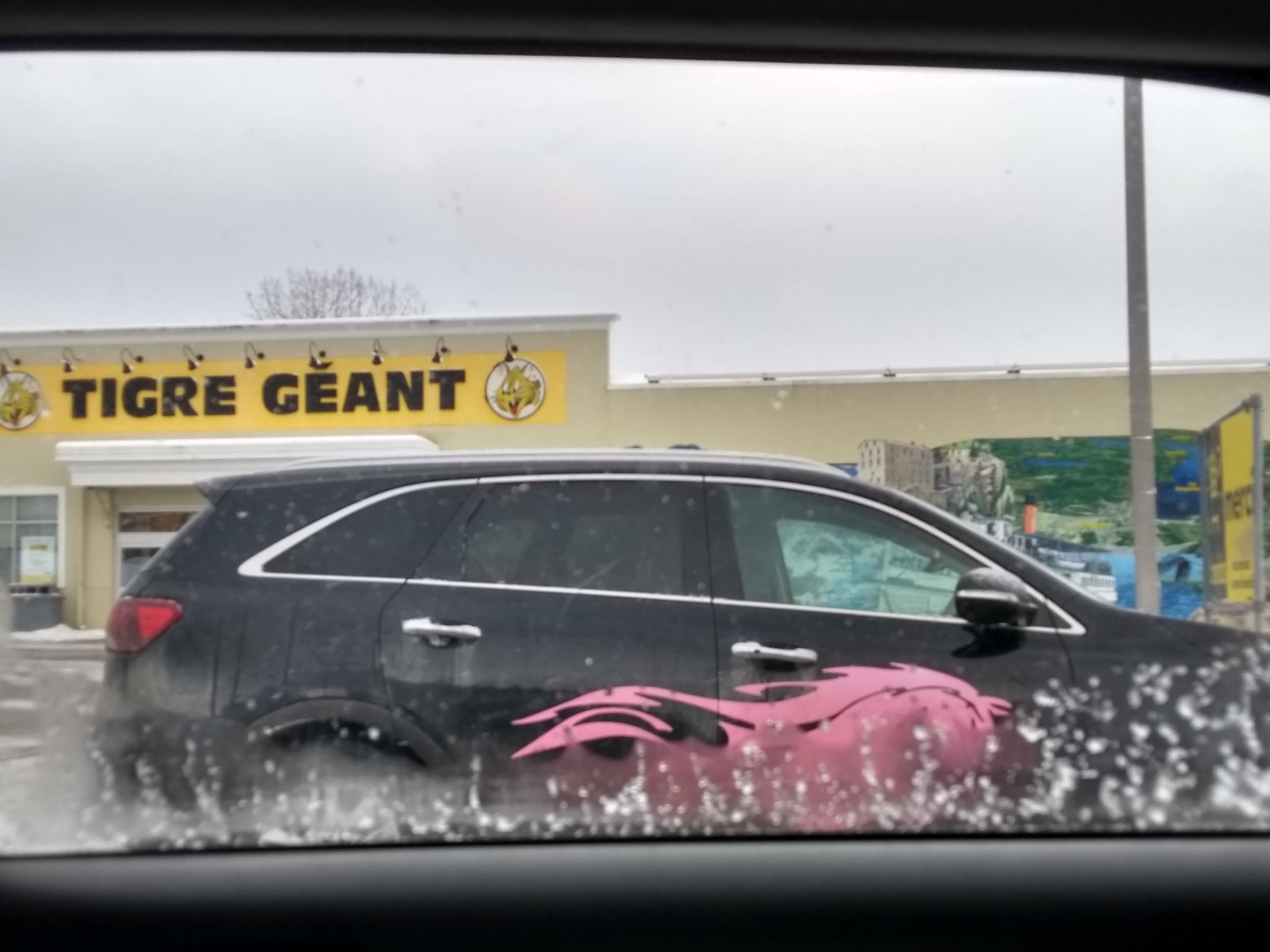 Black car with pink horse Blank Meme Template