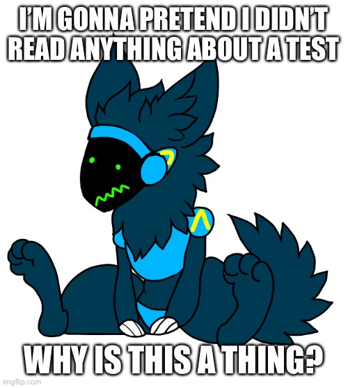 •_• time to go now | I’M GONNA PRETEND I DIDN’T READ ANYTHING ABOUT A TEST; WHY IS THIS A THING? | made w/ Imgflip meme maker