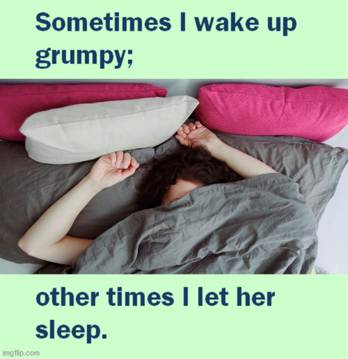 image tagged in woman sleeping,eye roll | made w/ Imgflip meme maker