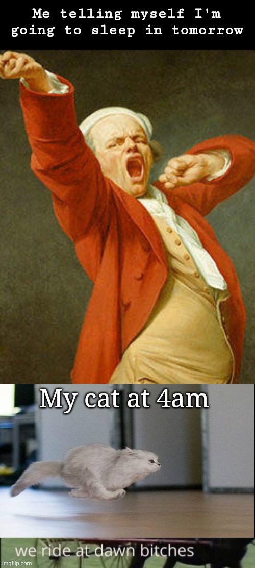 Cats at 4am | Me telling myself I'm going to sleep in tomorrow; My cat at 4am | image tagged in we ride at dawn bitches,memes,funny,cats,kitten | made w/ Imgflip meme maker