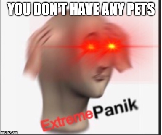 Extreme panik | YOU DON'T HAVE ANY PETS | image tagged in extreme panik | made w/ Imgflip meme maker