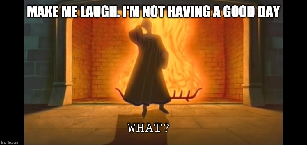 What? | MAKE ME LAUGH. I'M NOT HAVING A GOOD DAY | image tagged in what | made w/ Imgflip meme maker