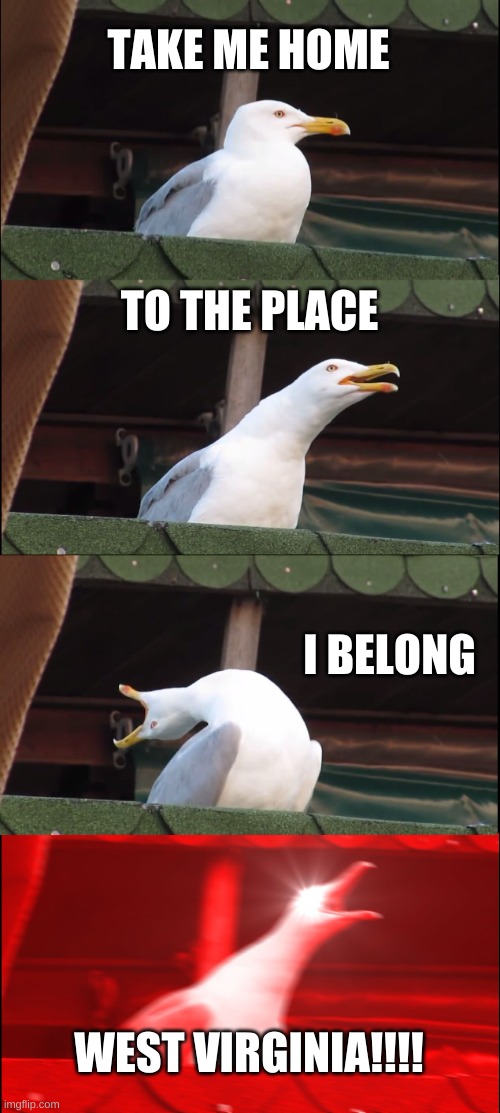 Inhaling Seagull Meme | TAKE ME HOME TO THE PLACE I BELONG WEST VIRGINIA!!!! | image tagged in memes,inhaling seagull | made w/ Imgflip meme maker