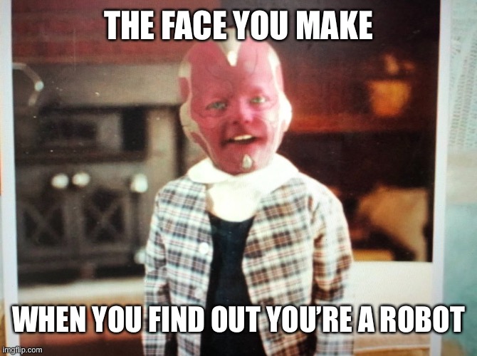 Bebe vision | THE FACE YOU MAKE; WHEN YOU FIND OUT YOU’RE A ROBOT | image tagged in wandavision | made w/ Imgflip meme maker
