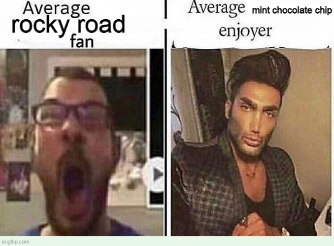 I am a mint chocolate chip enjoyer | mint chocolate chip; rocky road | image tagged in average blank fan vs average blank enjoyer | made w/ Imgflip meme maker