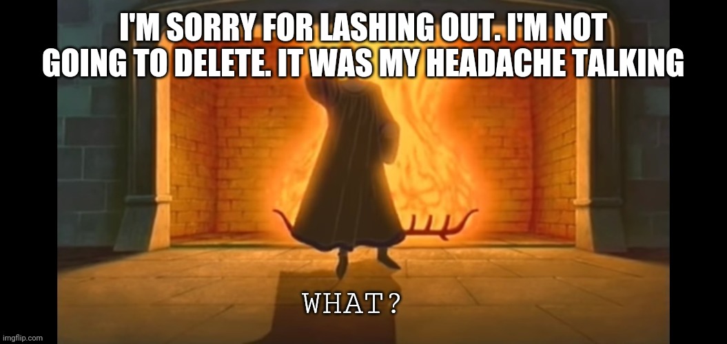 What? | I'M SORRY FOR LASHING OUT. I'M NOT GOING TO DELETE. IT WAS MY HEADACHE TALKING | image tagged in what | made w/ Imgflip meme maker