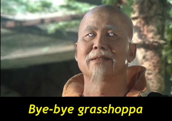 Bye-bye grasshoppa | made w/ Imgflip meme maker