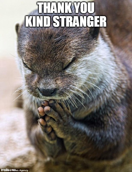 THANK YOU KIND STRANGER | image tagged in thank you lord otter | made w/ Imgflip meme maker