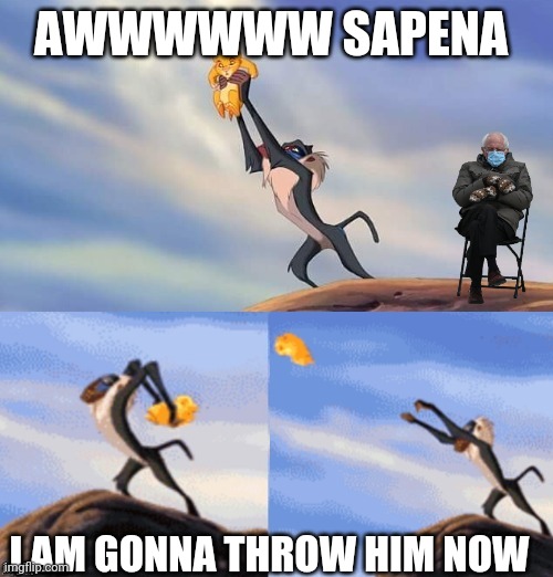 Simba Rafiki Lion King  | AWWWWWW SAPENA; I AM GONNA THROW HIM NOW | image tagged in simba rafiki lion king | made w/ Imgflip meme maker