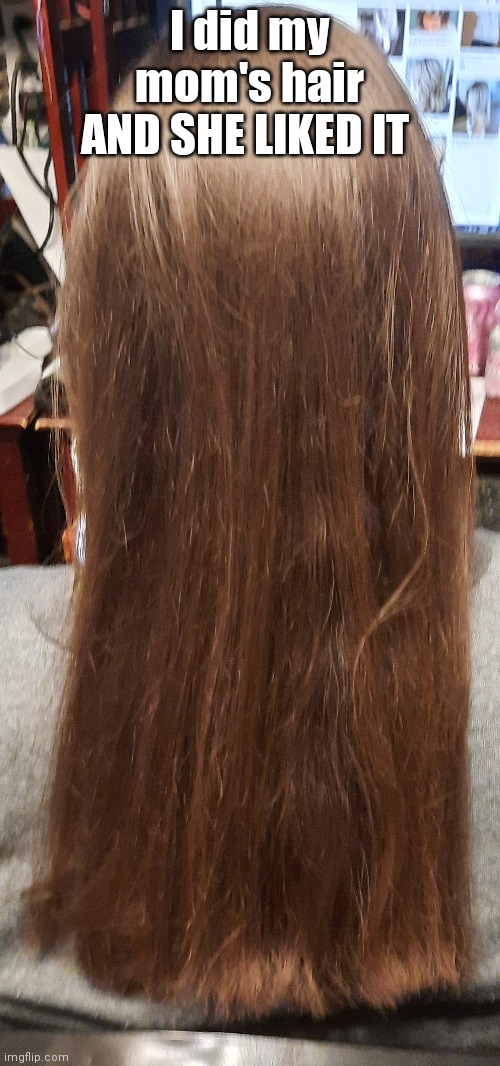 I did my mom's hair AND SHE LIKED IT | made w/ Imgflip meme maker