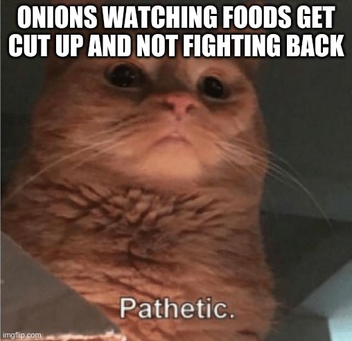 Pathetic Cat | ONIONS WATCHING FOODS GET CUT UP AND NOT FIGHTING BACK | image tagged in pathetic cat | made w/ Imgflip meme maker