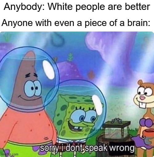 This is true. | Anyone with even a piece of a brain:; Anybody: White people are better | image tagged in sorry i don't speak wrong | made w/ Imgflip meme maker