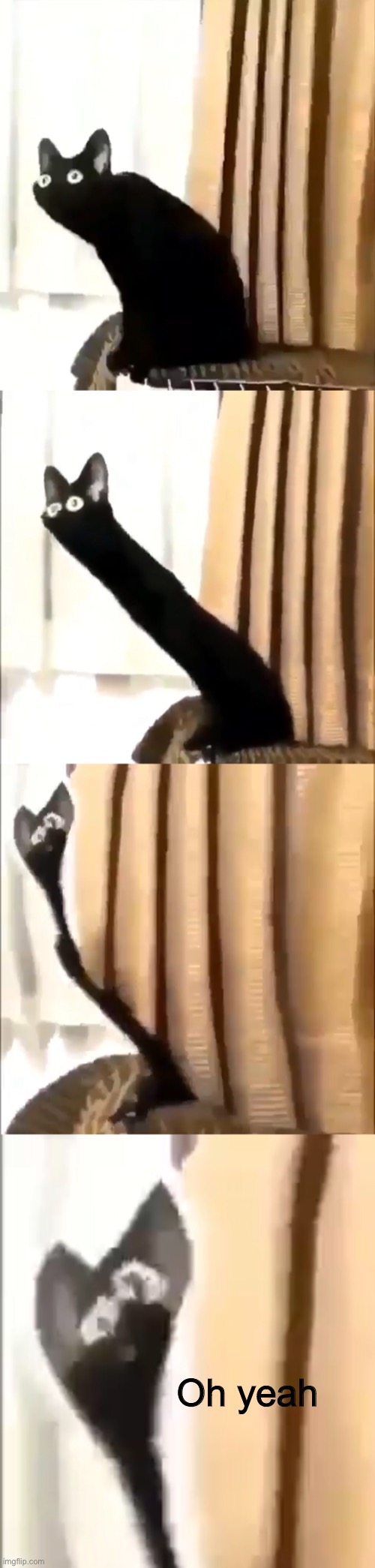 Should I make this a template | Oh yeah | image tagged in memes | made w/ Imgflip meme maker