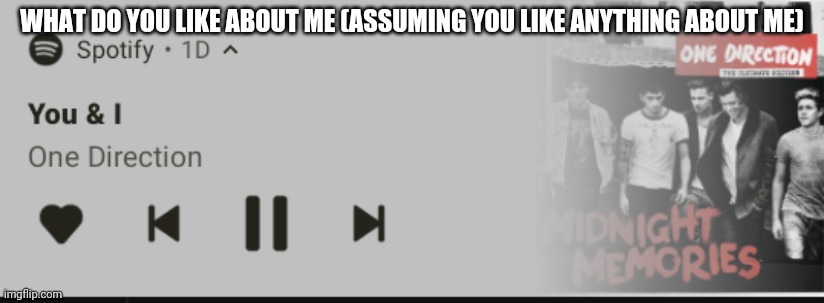 The pimple is still in my ear | WHAT DO YOU LIKE ABOUT ME (ASSUMING YOU LIKE ANYTHING ABOUT ME) | image tagged in you and i | made w/ Imgflip meme maker
