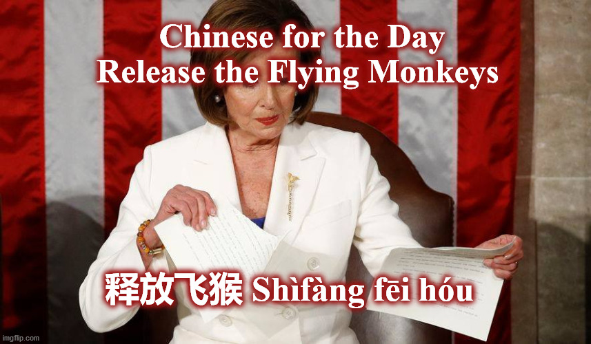 monkeys |  Chinese for the Day
Release the Flying Monkeys; 释放飞猴 Shìfàng fēi hóu | image tagged in monkeys | made w/ Imgflip meme maker