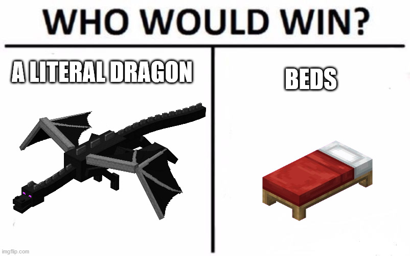 Who Would Win? | A LITERAL DRAGON; BEDS | image tagged in memes,who would win | made w/ Imgflip meme maker