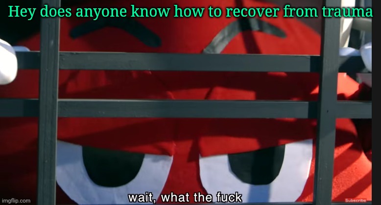 What the fuck | Hey does anyone know how to recover from trauma | image tagged in what the fuck | made w/ Imgflip meme maker