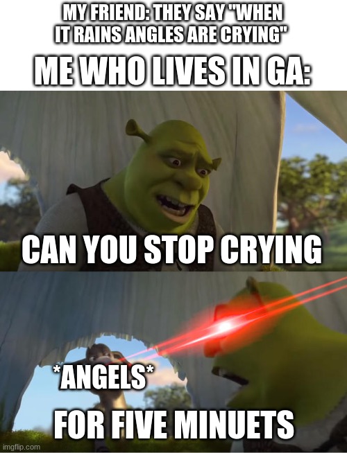 its funny because everyone gets snow and a white yard and we get rain and a nice muddy yard | MY FRIEND: THEY SAY "WHEN IT RAINS ANGLES ARE CRYING"; ME WHO LIVES IN GA:; CAN YOU STOP CRYING; *ANGELS*; FOR FIVE MINUETS | image tagged in shrek for five minutes | made w/ Imgflip meme maker