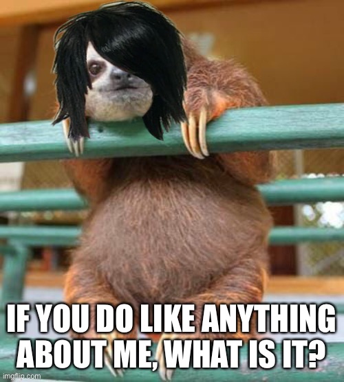Sloth Nicø | IF YOU DO LIKE ANYTHING ABOUT ME, WHAT IS IT? | image tagged in sloth nic | made w/ Imgflip meme maker
