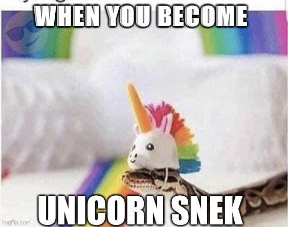 Cute snake | WHEN YOU BECOME; UNICORN SNEK | image tagged in cute snake | made w/ Imgflip meme maker