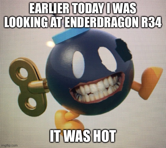 EARLIER TODAY I WAS LOOKING AT ENDERDRAGON R34; IT WAS HOT | made w/ Imgflip meme maker