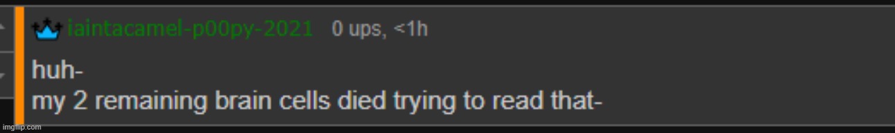 new temp XD *wheeze* ima be using it a lot lmfao | image tagged in my 2 remaining brain cells died trying to read that | made w/ Imgflip meme maker