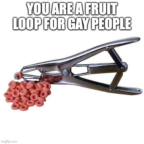 Pink Cheerios | YOU ARE A FRUIT LOOP FOR GAY PEOPLE | image tagged in pink cheerios | made w/ Imgflip meme maker