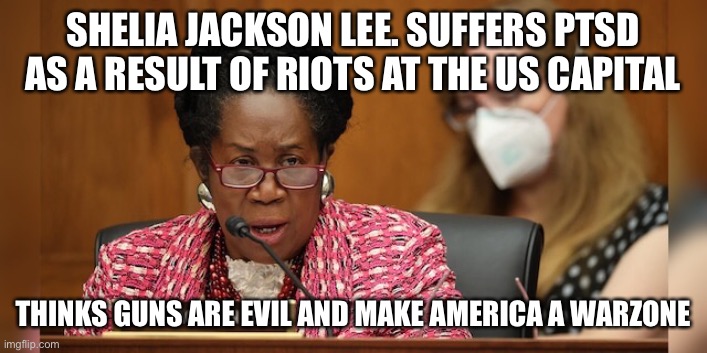 Shelia Jackson Lee and the threat members of congress under duress are to America | SHELIA JACKSON LEE. SUFFERS PTSD AS A RESULT OF RIOTS AT THE US CAPITAL; THINKS GUNS ARE EVIL AND MAKE AMERICA A WAR ZONE | image tagged in shelia jackson lee,democrats,gun control,clowns | made w/ Imgflip meme maker