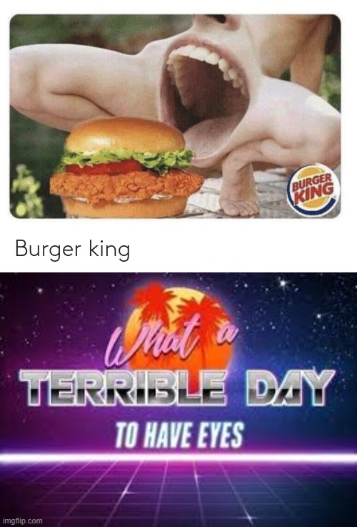 terrible | image tagged in what a terrible day to have eyes | made w/ Imgflip meme maker