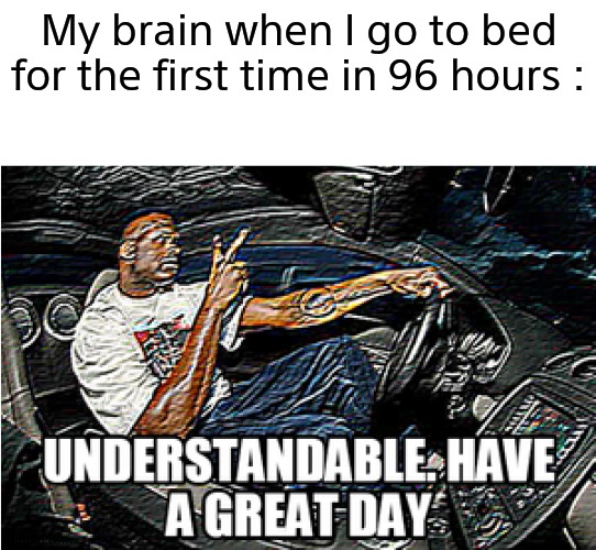 UNDERSTANDABLE, HAVE A GREAT DAY | My brain when I go to bed for the first time in 96 hours : | image tagged in understandable have a great day | made w/ Imgflip meme maker
