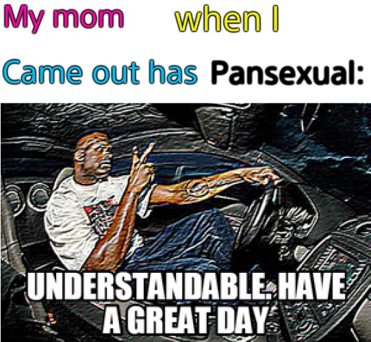 She was so accepting!!! | My mom; when I; Pansexual:; Came out has | image tagged in understandable have a great day | made w/ Imgflip meme maker