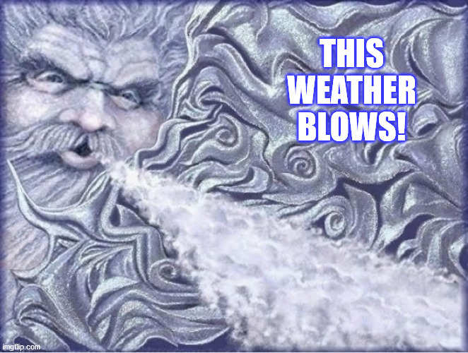 blows | THIS WEATHER BLOWS! | image tagged in winter storm | made w/ Imgflip meme maker