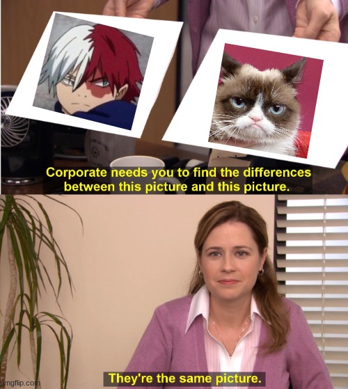 there is no difference.. | image tagged in todoroki,grumpy cat,the office,bnha,mha | made w/ Imgflip meme maker