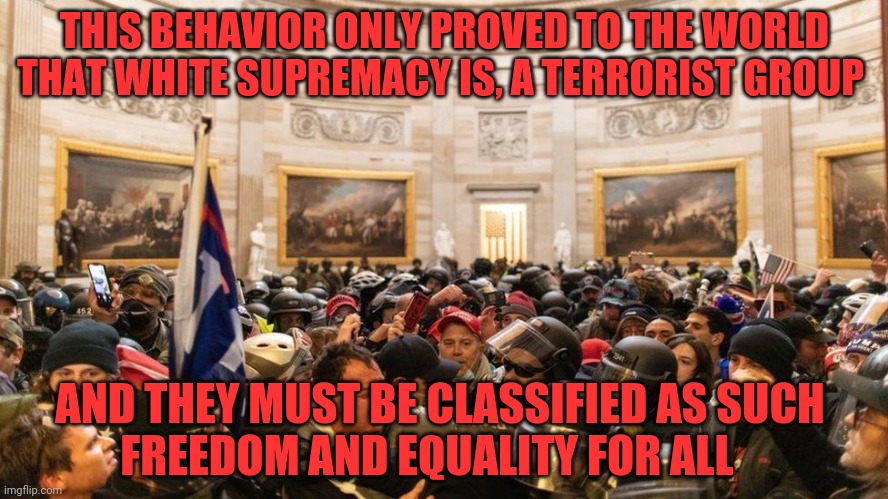 Capitol "Protestors" | THIS BEHAVIOR ONLY PROVED TO THE WORLD THAT WHITE SUPREMACY IS, A TERRORIST GROUP; AND THEY MUST BE CLASSIFIED AS SUCH        FREEDOM AND EQUALITY FOR ALL | image tagged in capitol protestors | made w/ Imgflip meme maker