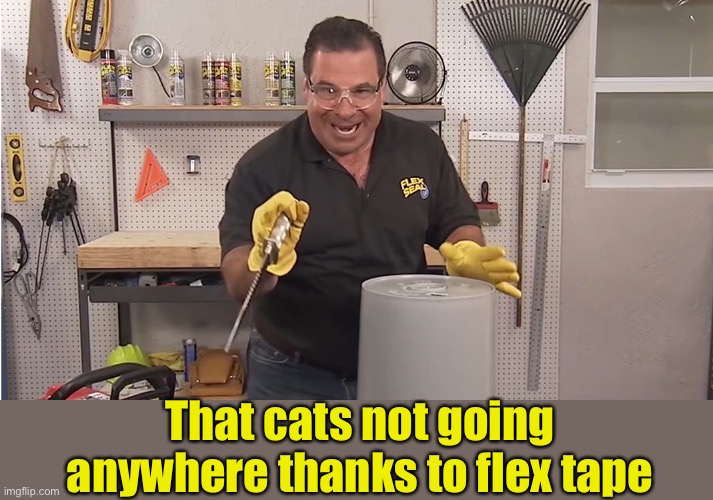 Phil Swift That's A Lotta Damage (Flex Tape/Seal) | That cats not going anywhere thanks to flex tape | image tagged in phil swift that's a lotta damage flex tape/seal | made w/ Imgflip meme maker