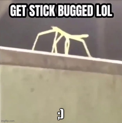 Get stick bugged lol | ;) | image tagged in get stick bugged lol | made w/ Imgflip meme maker